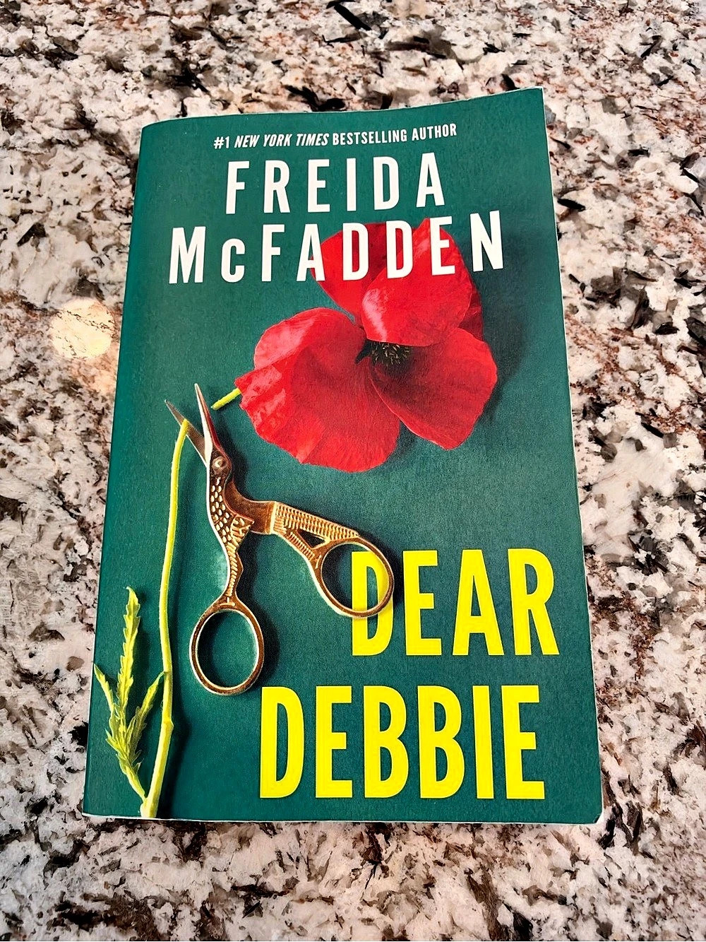 Freida McFadden “Dear Debbie “Paperback Mystery Novel Like New